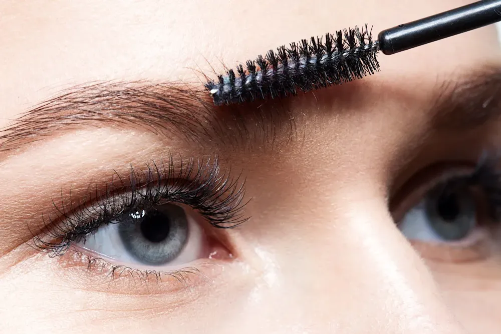 Eyebrow and Eyelash Brush