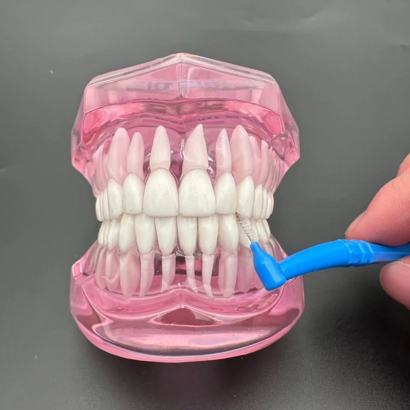 Bamboo Joint Shaped Interdental Brush