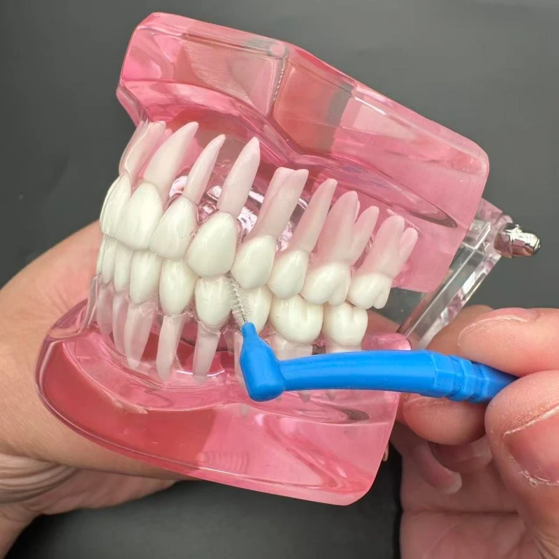 Bamboo Joint Shaped Interdental Brush