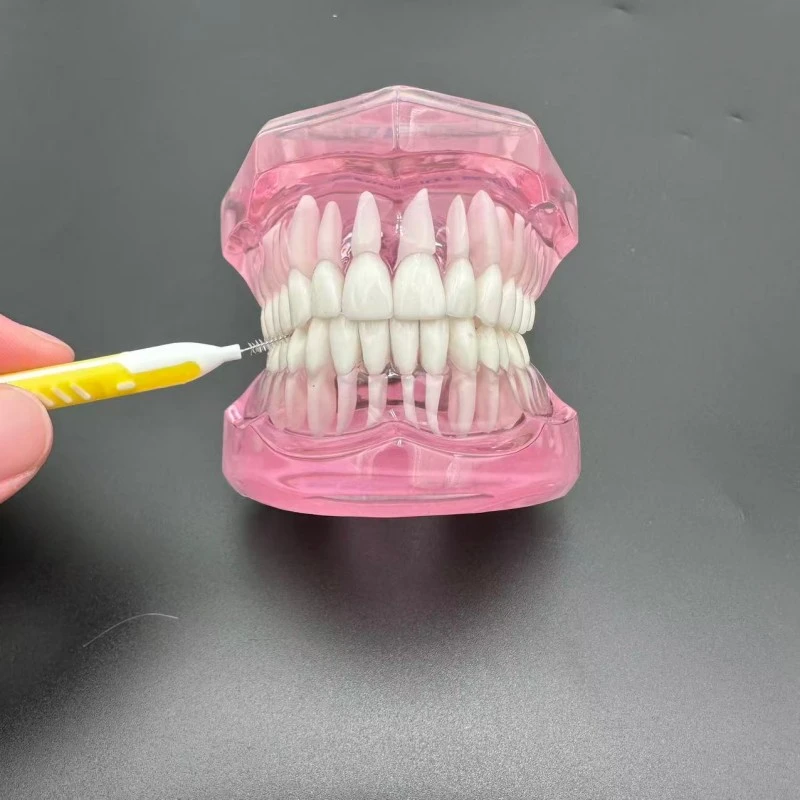 Push Pull Interdental Brush